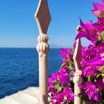 Photo taken by Diane H