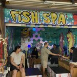 Photo taken by Julie H