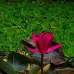 Photo taken by Brian C