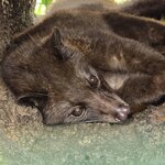 Photo taken by Nancy P