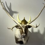 Photo taken by Anna A