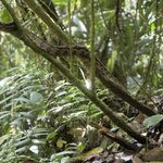 Photo taken by Harshida P