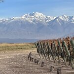 Photo taken by Graciela P