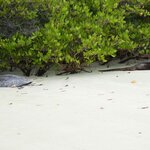 Photo taken by Patricia D