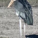 Photo taken by rafiq m