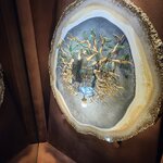 Photo taken by Bailey W