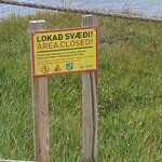 Photo taken by Eliza M