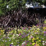 Photo taken by Iris W