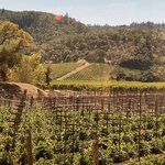 Photo taken by kirsten b