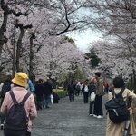 Photo taken by Hector R