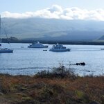 Photo taken by Joseph P