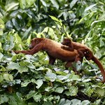 Photo taken by Sofia W