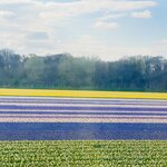 Photo taken by Shannon F