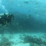 Photo taken by Stephanie A