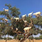 Photo taken by Cynthia T