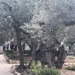 Photo taken by Marion M