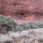 Photo taken by Judy H