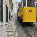 Photo taken by Steven C