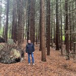 Photo taken by Joan B