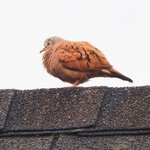 Photo taken by Dawne D