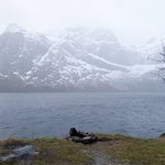 Photo taken by sheena h