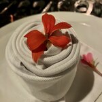 Photo taken by Tara Z