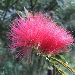 Photo taken by Peter S