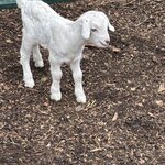 Photo taken by Judith C