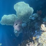 Photo taken by paul c