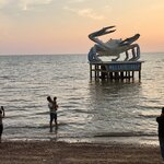 Photo taken by Kim C