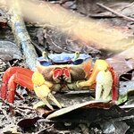 Photo taken by Samantha S