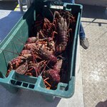 Photo taken by Joel S