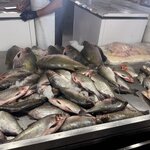 Photo taken by Nathalie B