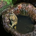 Photo taken by Sangeetha R