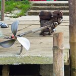 Photo taken by Brian C