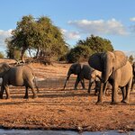 Photo taken by Tom B