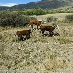 Photo taken by Taylor C