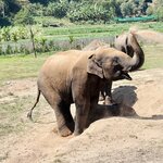 Photo taken by Nicole S