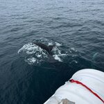 Photo taken by Donna T