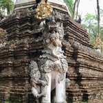 Photo taken by Shaula L