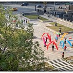 Photo taken by Fiona C