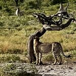 Photo taken by Peter L