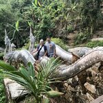 Photo taken by Shaula L