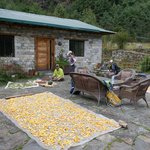 Photo taken by Brian U