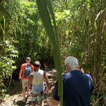 Hike around base of Arenal Volcano | Photo taken by Diane B