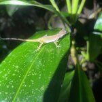 Photo taken by Alexia M