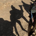 Photo taken by Anda P