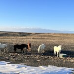 Photo taken by Katie F