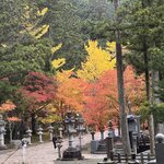 Photo taken by Beverly G