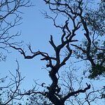 Photo taken by Wilbert A